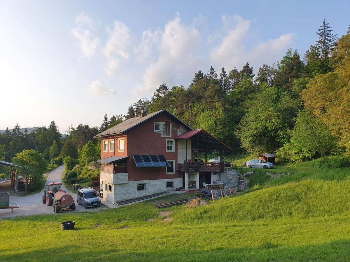 Apartma Narava Begunje pri Cerknici ภายนอก รูปภาพ