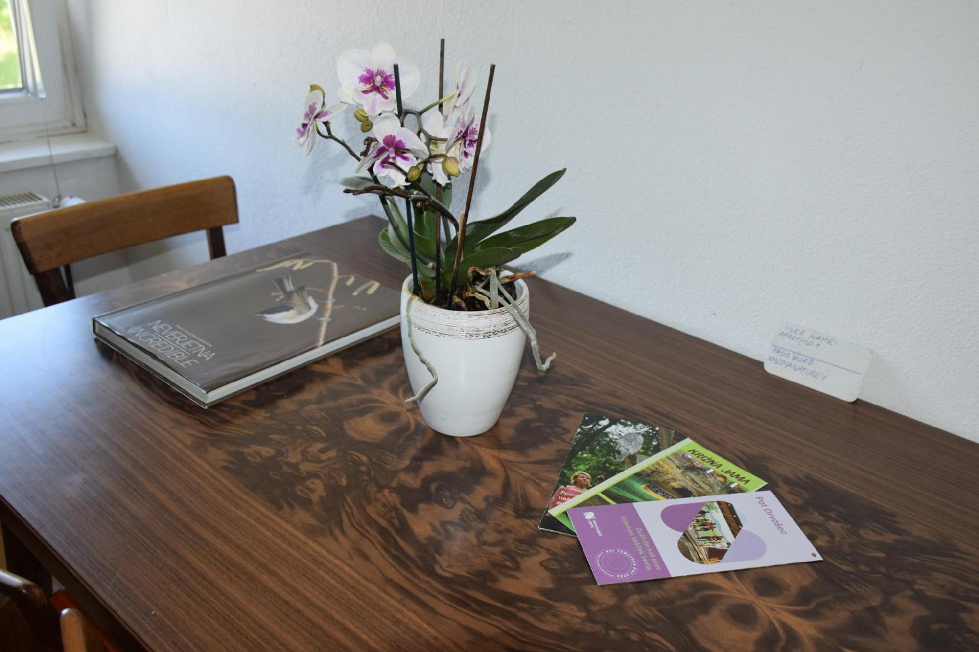 Apartma Narava Begunje pri Cerknici ห้อง รูปภาพ